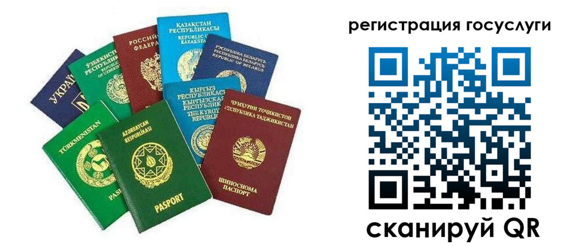 временная регистрация госуслуги в Щиграх